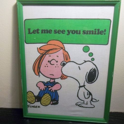 Framed Snoopy Bedsheet