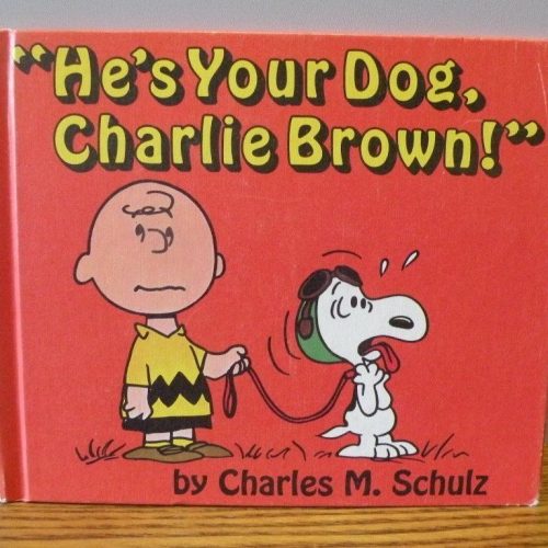 Peanuts Book by The World Publishing Company