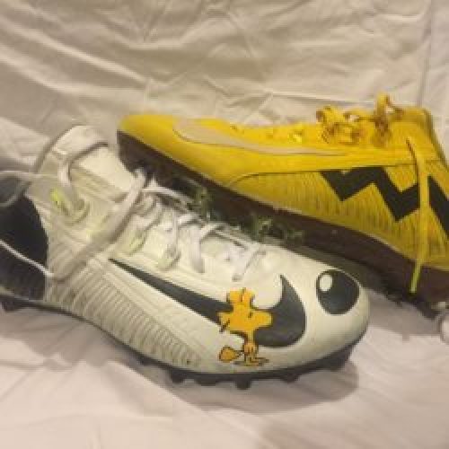 Charlie Brown and Snoopy Custom Nike Shoes