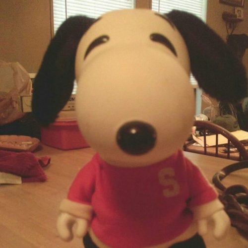 Snoopy Collector Doll