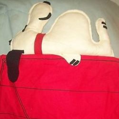 Snoopy Shoe Organizer
