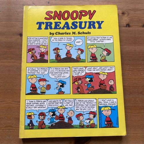 Snoopy Treasury Book