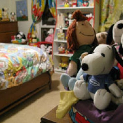 snoopyroom1109