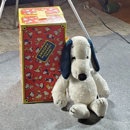 spotlightsnoopy-general