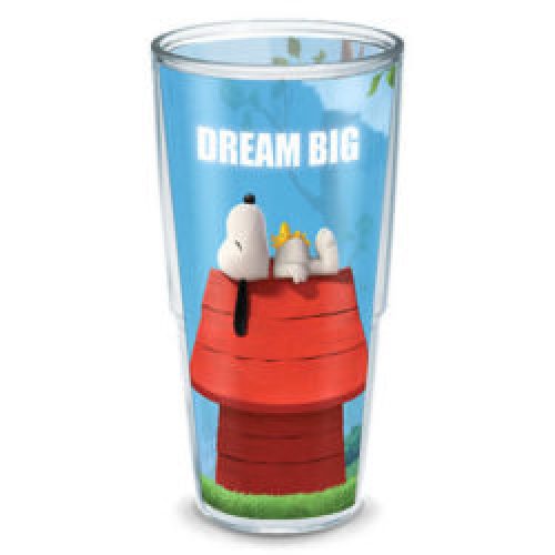 A Cool Summer with Snoopy